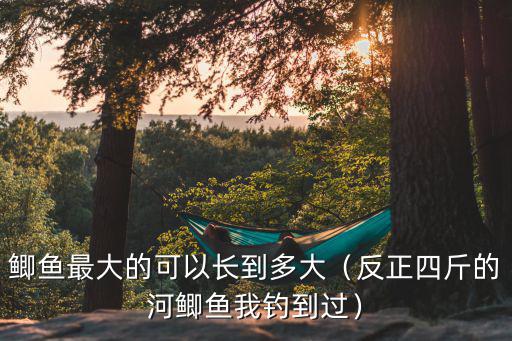 清遠最大的魚多少斤,鯽魚最大的可以長到多大