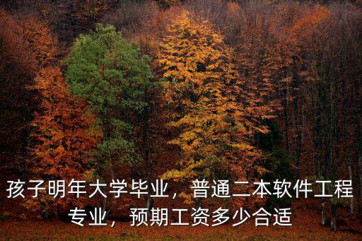 廣州程序員二本工程兩年多少錢(qián),在廣州薪資多少比較合理
