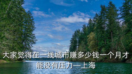 大家覺得在一線城市賺多少錢一個(gè)月才能沒有壓力—上海