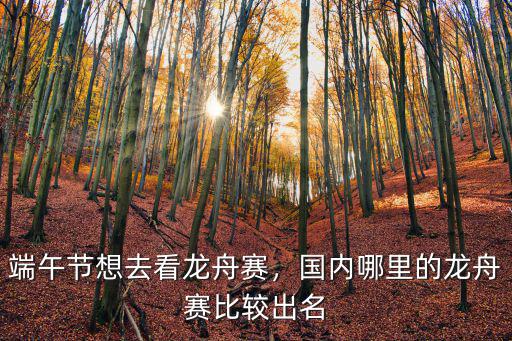 廣東省哪里看龍舟賽,端午節(jié)想去看龍舟賽