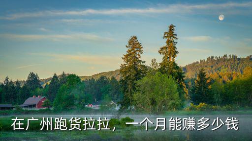 廣州南沙跑貨拉拉怎么樣,在廣州跑貨拉拉