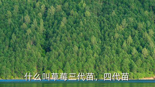 什么叫草莓三代苗，四代苗