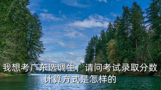 廣東選調(diào)生多少分進(jìn)面試,我想考廣東選調(diào)生