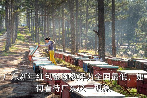 廣東新年紅包金額被評為全國最低，如何看待廣東這一現象