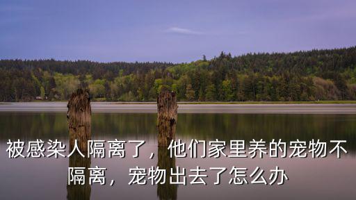 深圳隔離的話寵物怎么辦,他們家里養的寵物不隔離