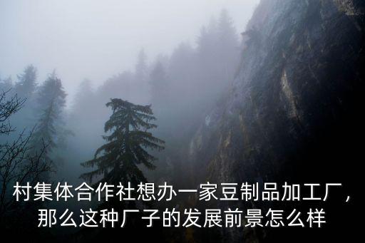 佛山哪里有加工豆制品的,豆制品深加工的小吃有哪些