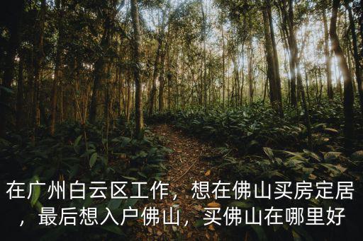 在廣州白云區工作，想在佛山買房定居，最后想入戶佛山，買佛山在哪里好