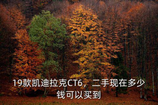 19款凱迪拉克CT6，二手現在多少錢可以買到