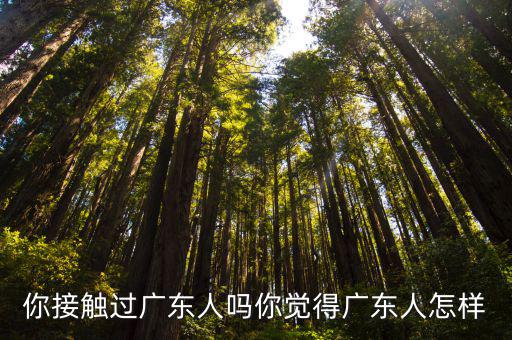 廣東的調(diào)道有多少人,有些專家說現(xiàn)在的廣東人