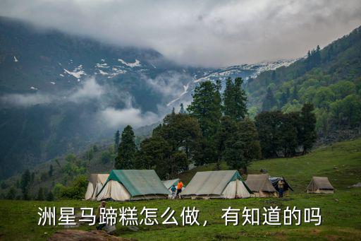 洲星馬蹄糕怎么做，有知道的嗎