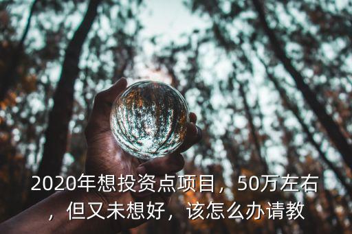 2020年想投資點項目，50萬左右，但又未想好，該怎么辦請教