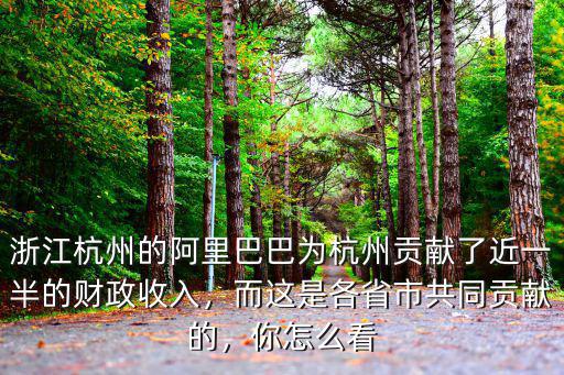 阿里巴巴貢獻杭州多少gdp,是杭州成就了阿里巴巴