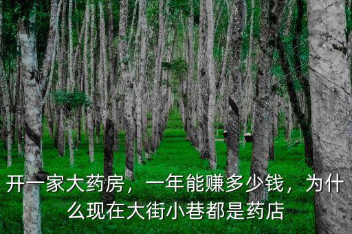 開(kāi)一家大藥房，一年能賺多少錢，為什么現(xiàn)在大街小巷都是藥店