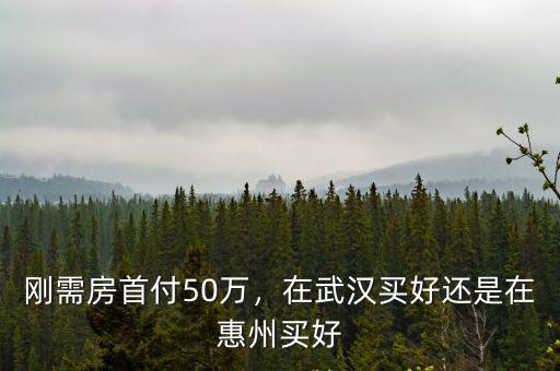 剛需房首付50萬，在武漢買好還是在惠州買好