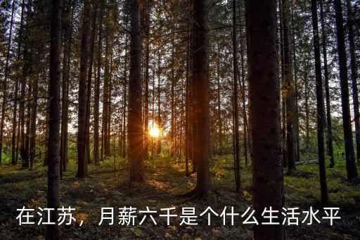 在江蘇，月薪六千是個(gè)什么生活水平