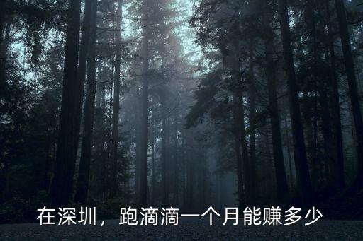 在深圳，跑滴滴一個月能賺多少