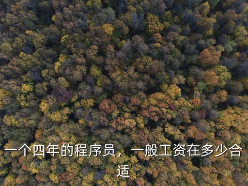 一個四年的程序員，一般工資在多少合適