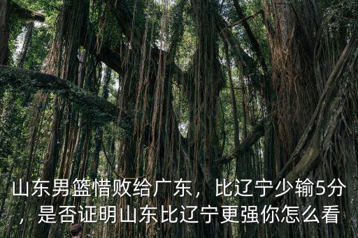 山東男籃惜敗給廣東，比遼寧少輸5分，是否證明山東比遼寧更強你怎么看