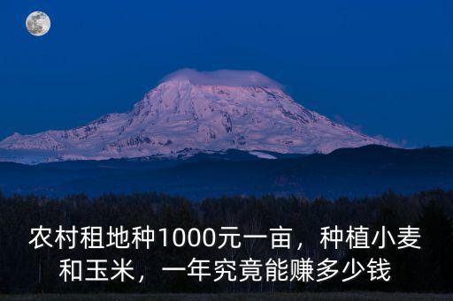溫州包地一畝多少錢,你們那里承包地多少錢一畝