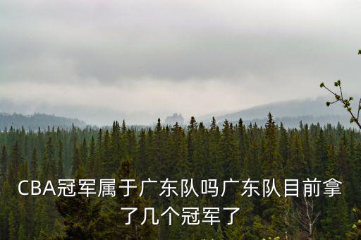 CBA冠軍屬于廣東隊(duì)嗎廣東隊(duì)目前拿了幾個(gè)冠軍了
