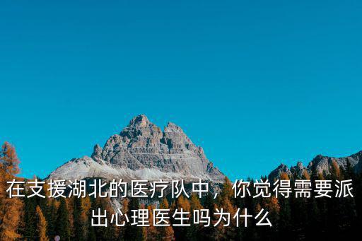 在支援湖北的醫療隊中，你覺得需要派出心理醫生嗎為什么