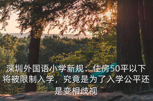 深圳螺鈴小學怎么樣,深圳哪里的小學學位比較好