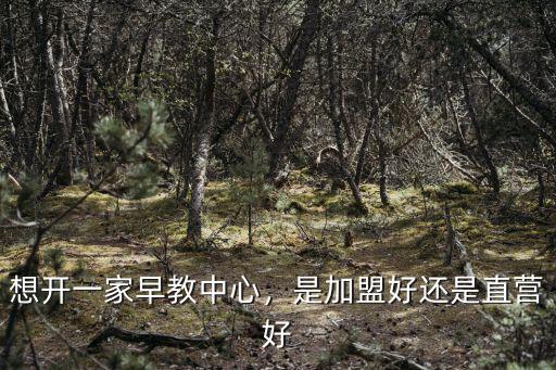 想開一家早教中心，是加盟好還是直營好