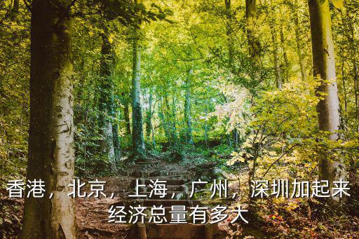深圳有多少億人,深圳加起來經濟總量有多大