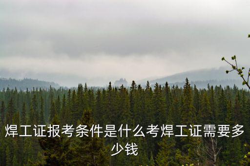 杭州考焊工證多少錢,考焊工證需要多少錢