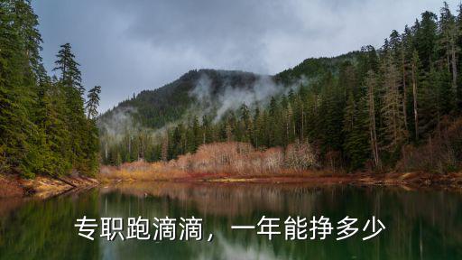 專職跑滴滴，一年能掙多少