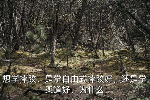 想學(xué)摔跤，是學(xué)自由式摔跤好，還是學(xué)柔道好，為什么