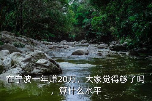 寧波房地產一年賺多少哇,在寧波一年賺20萬