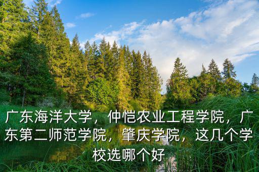 廣東海洋大學輪機工程多少分,廣東海洋大學怎么樣