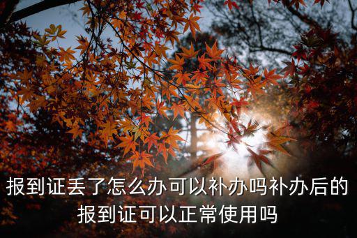廣東省畢業報到證丟了怎么辦,大學畢業證學位證報到證丟失