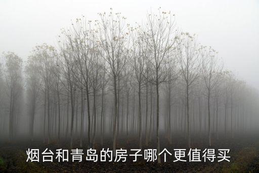 煙臺和青島房價差多少,煙臺的房價還會漲嗎