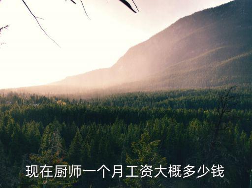 湛江廚師多少錢,廚師的工資多少錢