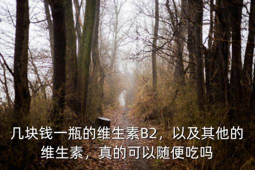 善存江蘇產的維生素多少錢一盒,幾塊錢一瓶的維生素B2