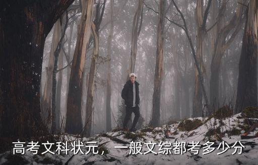 廣東高考狀元各科多少分,高考文科狀元