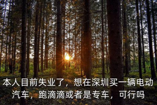 滴滴在深圳跑車收入怎么樣,想在深圳買一輛電動汽車