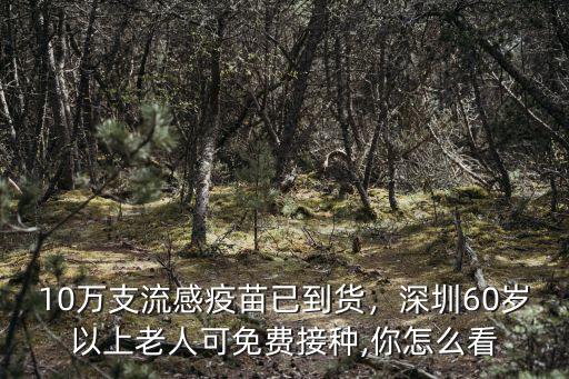 10萬支流感疫苗已到貨，深圳60歲以上老人可免費接種,你怎么看