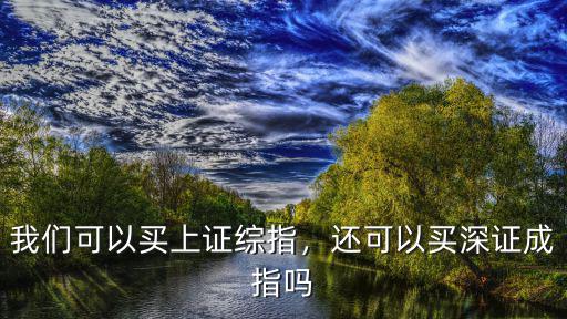 我們可以買上證綜指，還可以買深證成指嗎