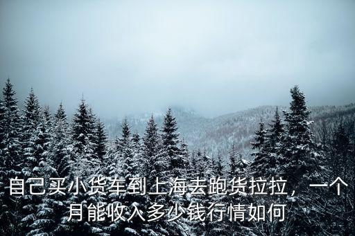 深圳租車做貨拉拉多少錢一個(gè)月,貨拉拉司機(jī)一個(gè)月能賺多少錢