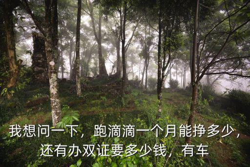 我想問一下，跑滴滴一個月能掙多少，還有辦雙證要多少錢，有車