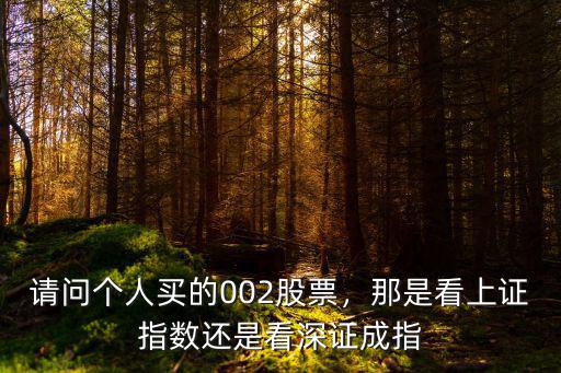 請問個人買的002股票，那是看上證指數還是看深證成指