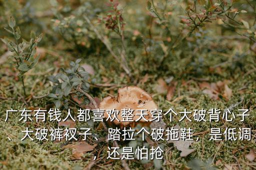 廣東有多少拖鞋,廣東人喜歡穿拖鞋
