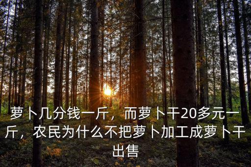 蘿卜幾分錢一斤，而蘿卜干20多元一斤，農民為什么不把蘿卜加工成蘿卜干出售