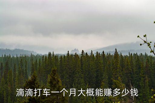 湛江優步一個月能掙多少錢,貨拉拉司機一個月能賺多少錢