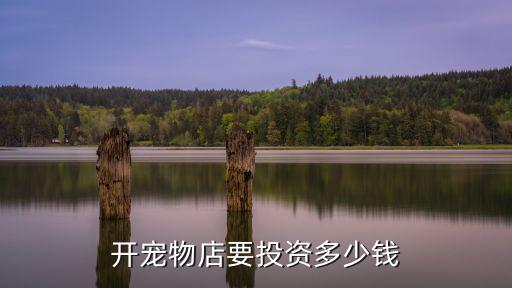 寧波開寵物店投資多少錢,開寵物店究竟要多少錢