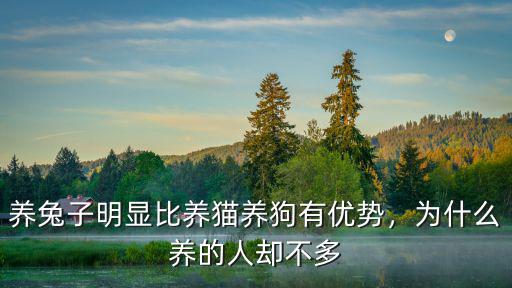 常州有多少人養兔子,養兔子明顯比養貓養狗有優勢