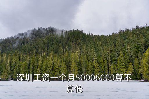 深圳基本工資多少一個月,深圳工資一個月5000